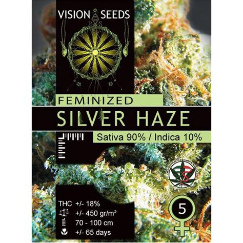 Silver Haze | Vision Seeds | Feminized marijuana seeds.