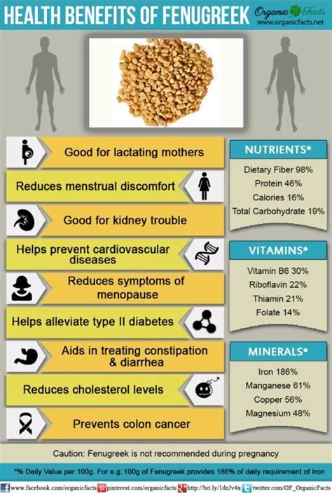 9 Amazing Benefits & Uses of Fenugreek | Fenugreek benefits, Coconut ...