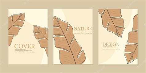 Premium Vector | Banana leaf aesthetic boho cover design set. botanical ...