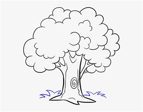 How To Draw Trees Drawing Cartoon Sketch - Trees Cartoon Black And ...