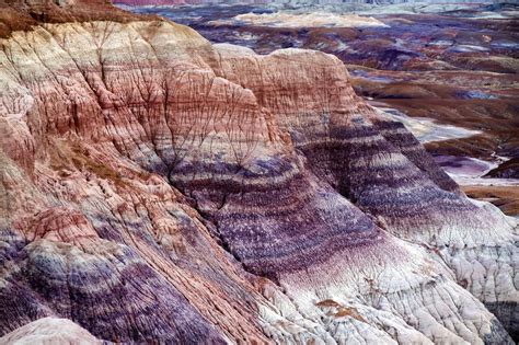 Petrified Forest National Park - Destination Parks