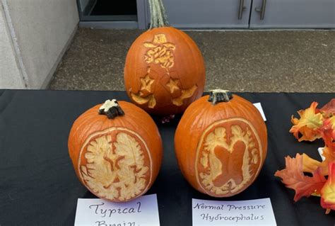 Winners of 2022 pumpkin-carving contests announced | VUMC Voice