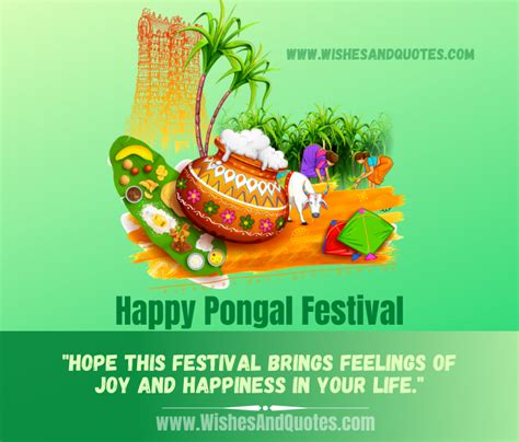 Pongal 2024: Wishes, Quotes, SMS, Messages, Status, Shayari, Greetings