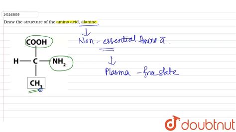 Alanine Amino Acid Structure