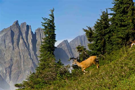 Crossing the North Cascades | North Western Images - photos by Andy Porter