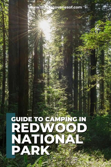 Redwood National Park Camping Guide — The Discoveries Of