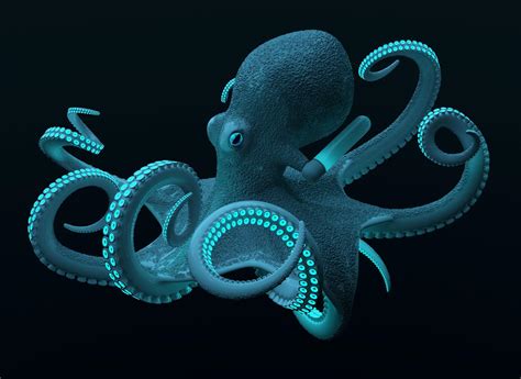 Deep Sea Creatures Wallpapers - Top Free Deep Sea Creatures Backgrounds ...