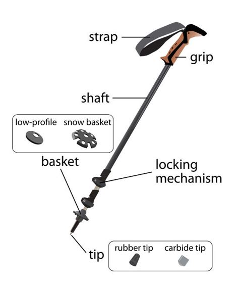 Hiking Stick 101: A Comprehensive Tutorial on How to Use Hiking Sticks ...