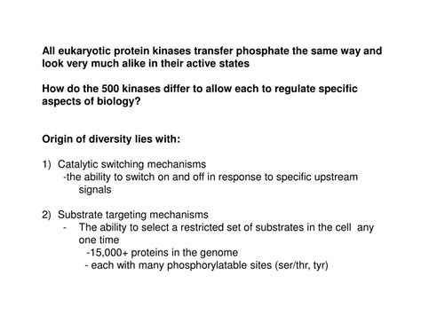 PPT - Protein Kinase Structure and Function Introduction PowerPoint ...