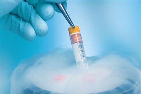 What is frozen embryo transfer? – Techgib