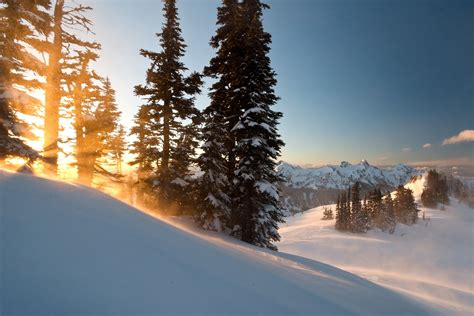 Winter in Mount Rainier National Park - Outdoor Project