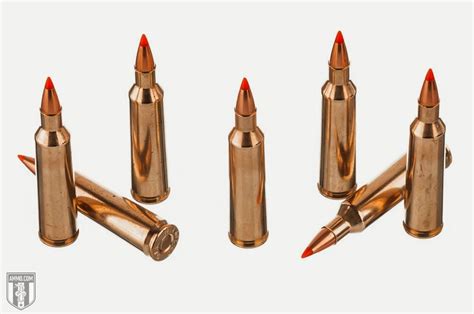 22-250 vs 223: Hunting Caliber Comparison by Ammo.com