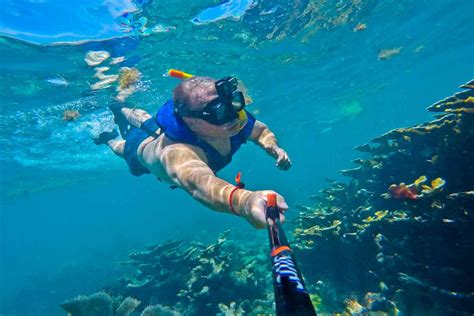 Florida Keys Snorkeling: 12 Best Places & Tours - Sunlight Living