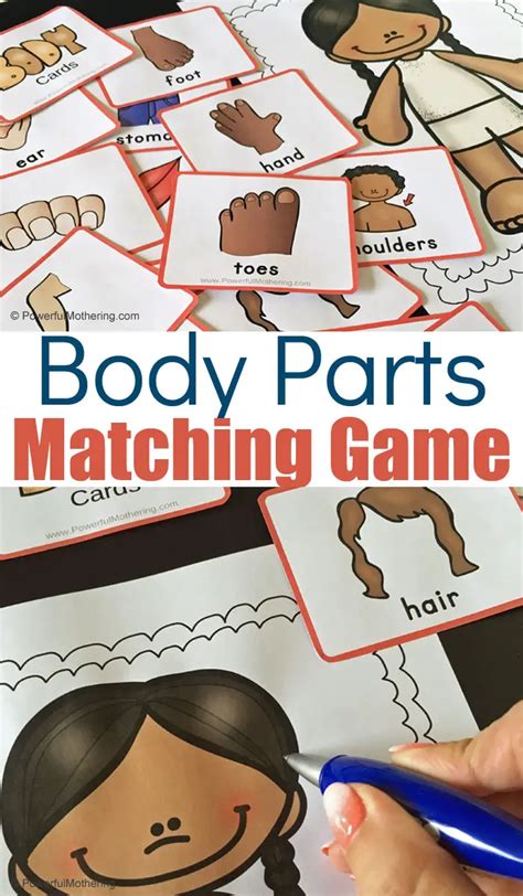 Free Printable Body Party Matching Game For Identification and Location