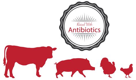 Antibiotics: excessive use in livestock and why it is a problem - Feed ...