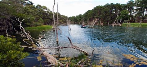 Visit Lake Bastrop on the Texas Film Trails