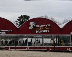 Downey's Pitcher Plant Nursery | Municipality of The District of ...