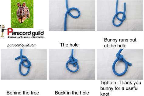 How to tie the bowline knot - Paracord guild