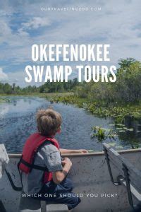 Okefenokee Swamp Tours: Which One to Pick? | Our Traveling Zoo