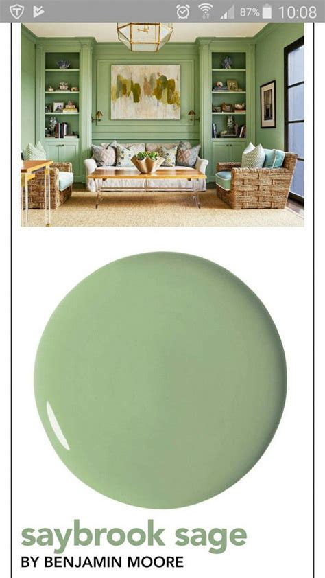 Love this green paint. Saybrook Sage by Benjamin Moore #ChickenHouses ...