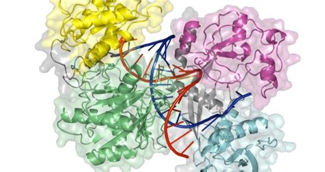 Protein Structure and Function - WUR