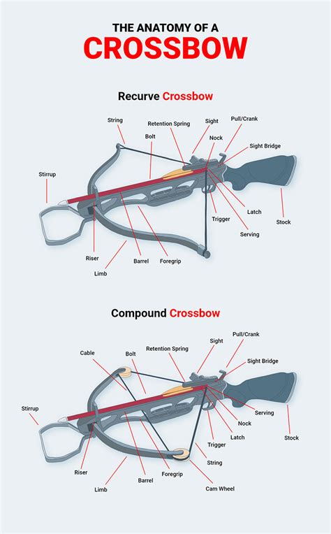 The Anatomy of a Crossbow - 60X Custom Strings