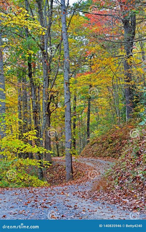 A Rural Mountain Road Surrounded with Fall Colors. Stock Photo - Image ...