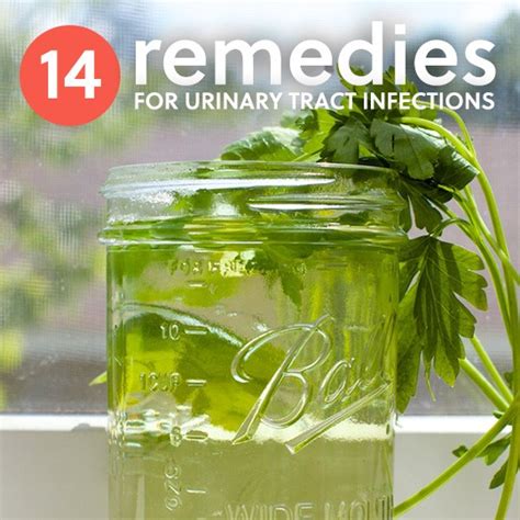 14 Natural Home Remedies for UTI Pain & Discomfort | Everyday Roots