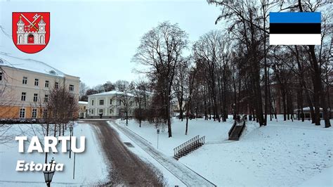 Tartu, Estonia. The first snow has fallen. 4K - YouTube