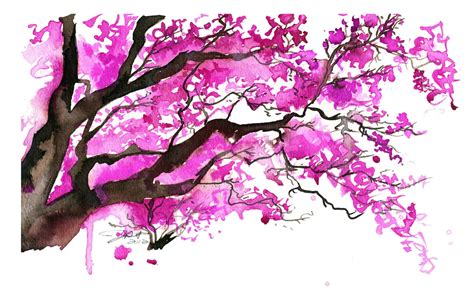 Watercolor Japanese Cherry Blossom Tree by JessicaIllustration