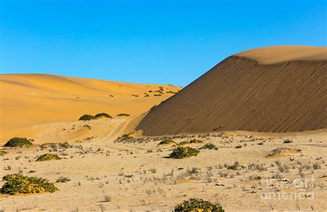 Sand dunes of the Namib Desert. Photograph by Rudi Venter - Pixels