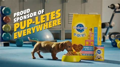 Pedigree TV Commercial, 'Pup-letes: Pit Crew' - iSpot.tv