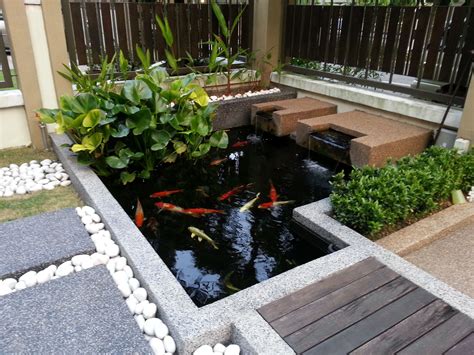 Koi Pond Dealers Near Me | Wonderful Koi