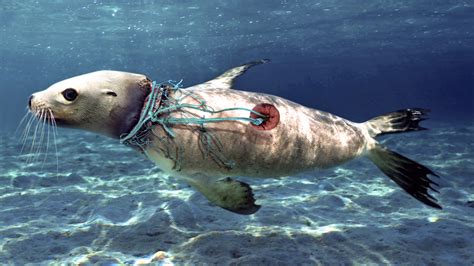 Ocean pollution reimagined in photos by Paulo de Oliveira