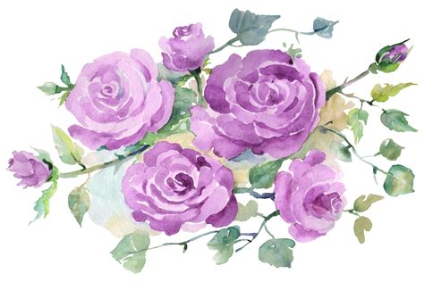 Bouquet with purple roses Watercolor png