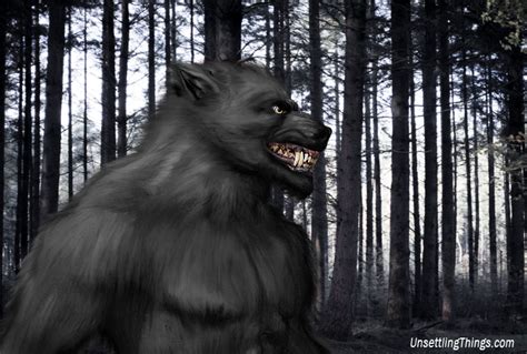 Fascinating Tales of the Michigan Dogman - Unsettling Things