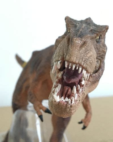 The Papo brown running T. rex (anterior view). | Dinosaur art projects ...