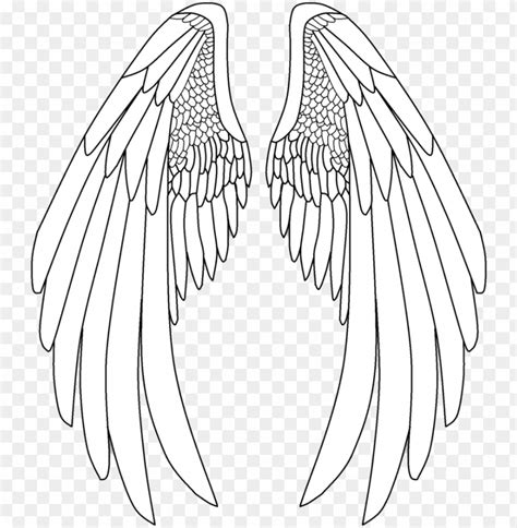 Svg Royalty Free Archangel Drawing Anime - Angel Wings Drawi PNG ...