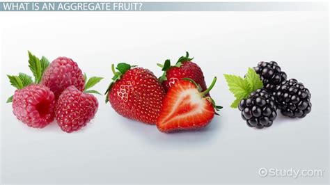 Aggregate Fruit: Definition & Examples - Video & Lesson Transcript ...