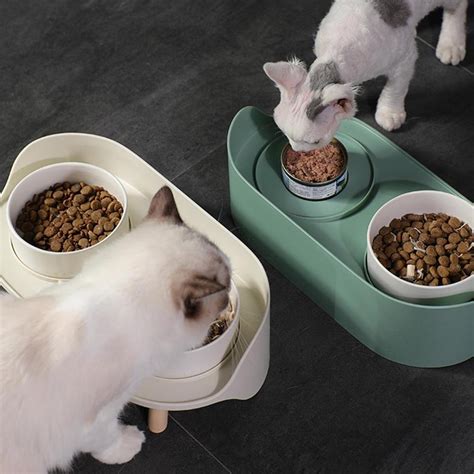 Buy Dual Feeding Cat Bowls Online - Pets Kings