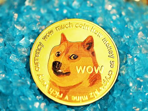 Shiba Inu Coin Price Prediction 2024 - Selie Allianora