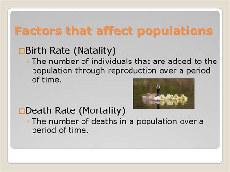 Population Growth Factors that affect populations Birth Rate