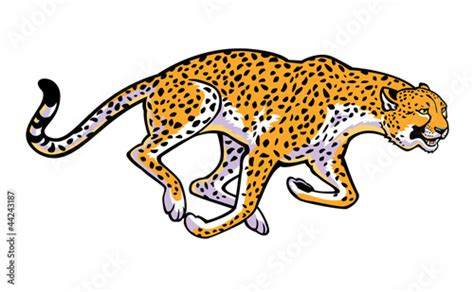 running cheetah Stock Vector | Adobe Stock