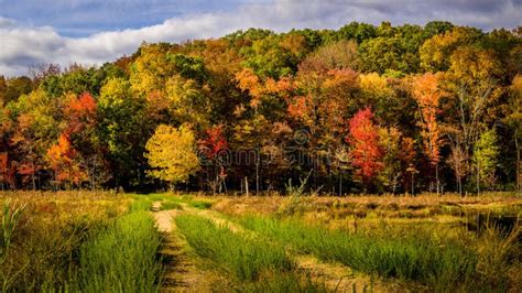 Fall Foliage and Country Road Stock Photo - Image of country, orange ...