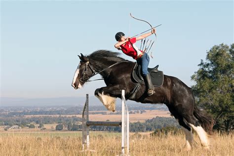 Behind The Photo: A Leaping Shire And An Equine Archer - The Chronicle ...