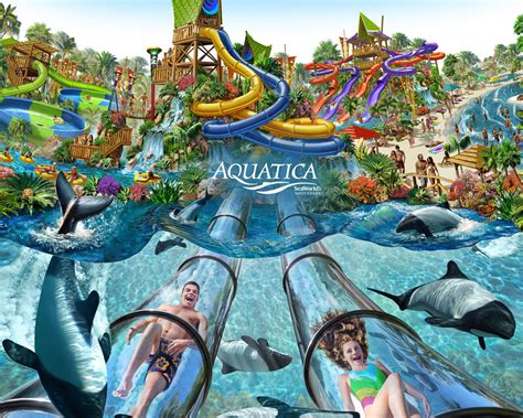 Aquatica – Orlando’s Year-Round Water Park