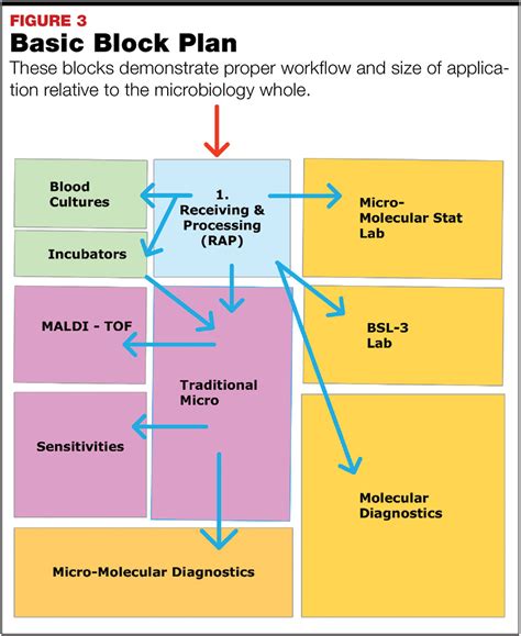 Microbiology Lab Layout