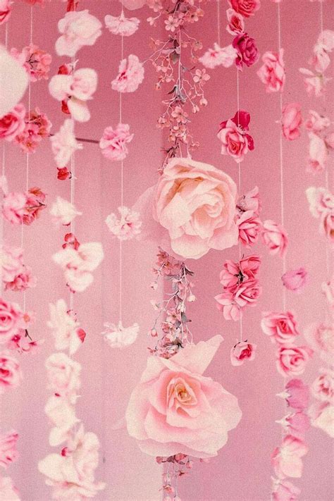 √ Pink Roses Aesthetic