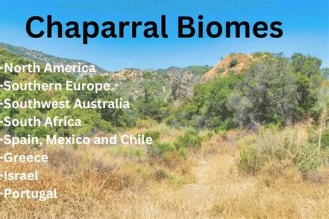 The Chaparral Biome | Facts, Location, Soil, Biodiversity