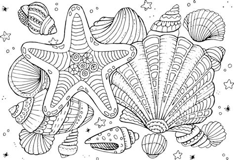 Seashell Coloring Pages